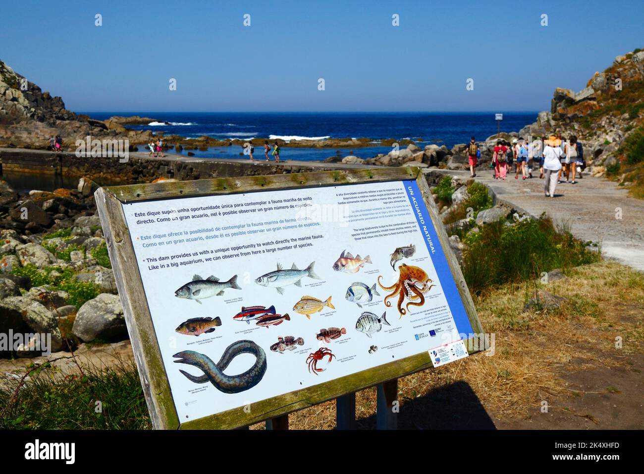 Informationstafel mit Bildern der Arten der marinen Tierwelt, die in den Lagunen in der Nähe des Cies Islands, Galicien, Spanien zu sehen sind. Stockfoto