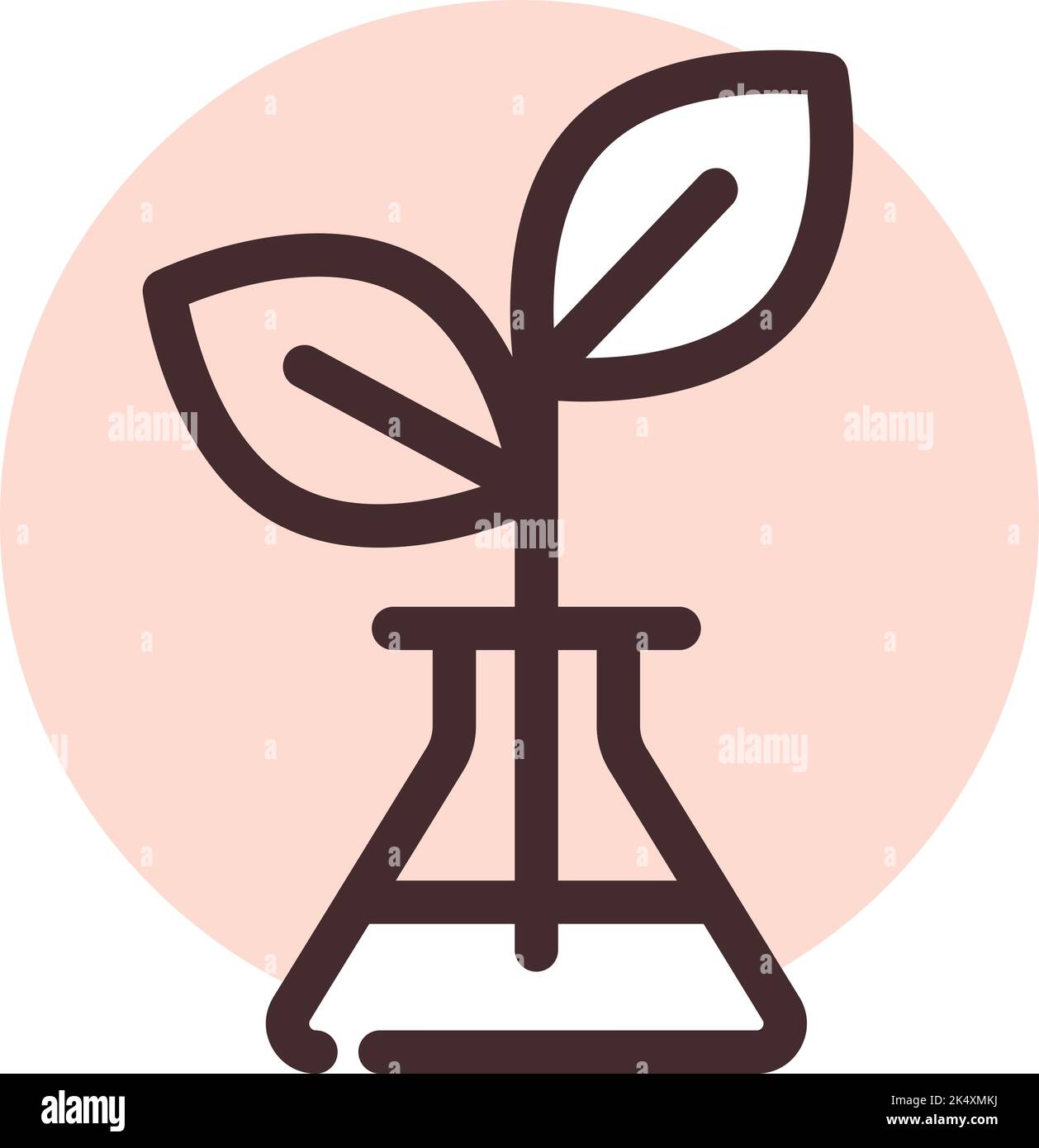 Biologieunterricht, Illustration, Vektor auf weißem Hintergrund. Stock Vektor