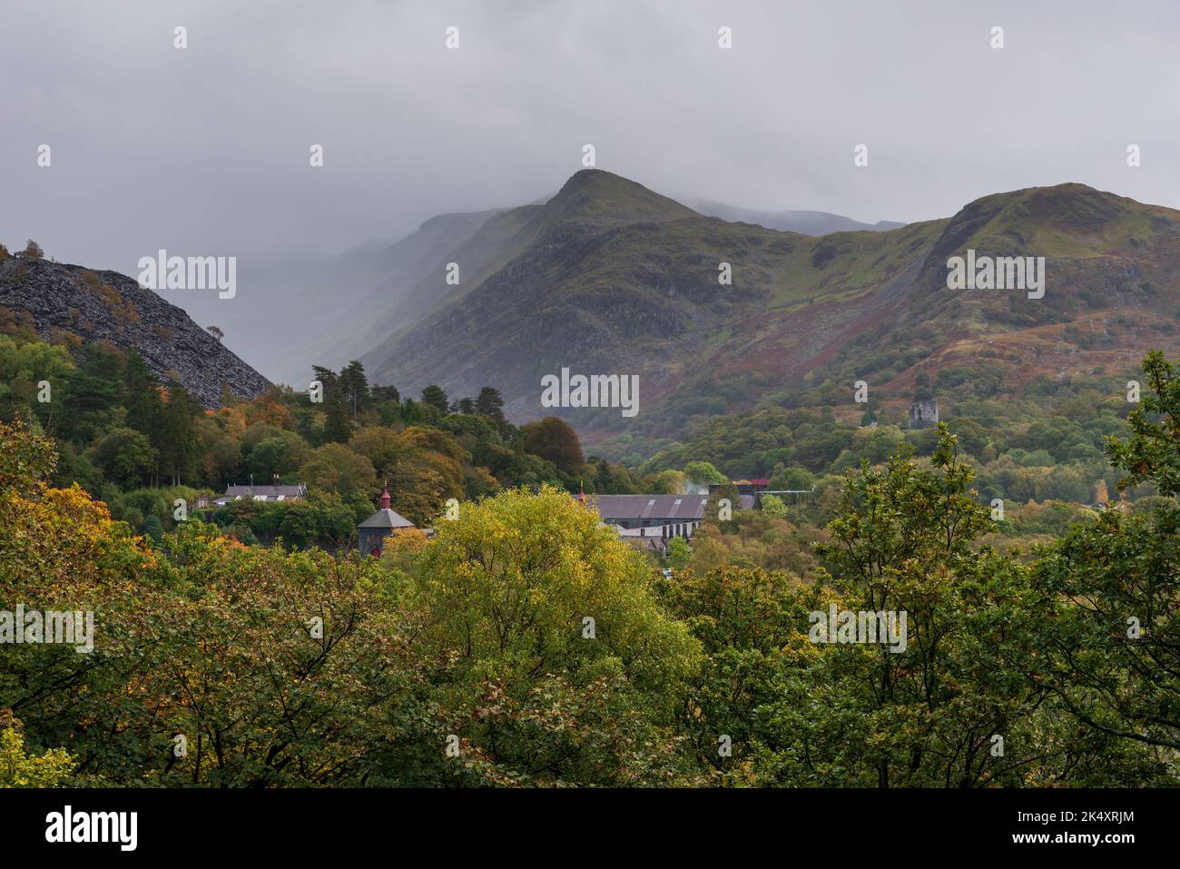 National Welsh Slate Mine im Padarn Country Park im Wald mit sichtbaren Dächern Stockfoto