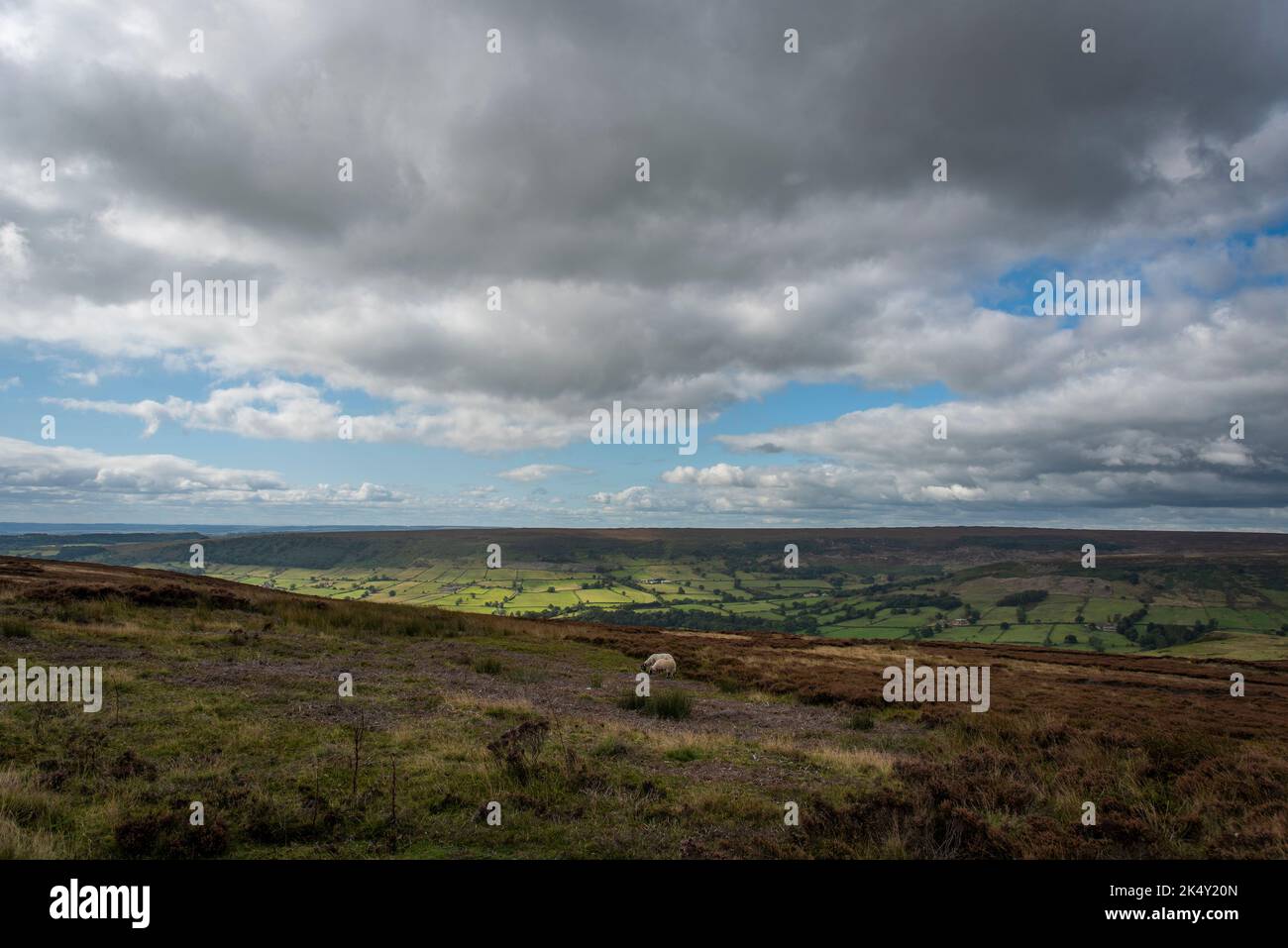Die North York Moors in der Nähe von Castleton, North Yorkshire, Großbritannien Stockfoto