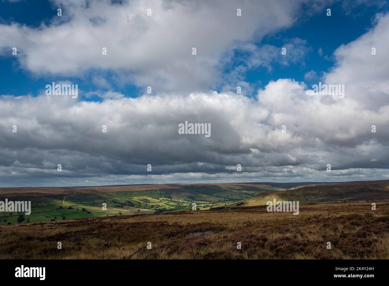 Die North York Moors in der Nähe von Castleton, North Yorkshire, Großbritannien Stockfoto