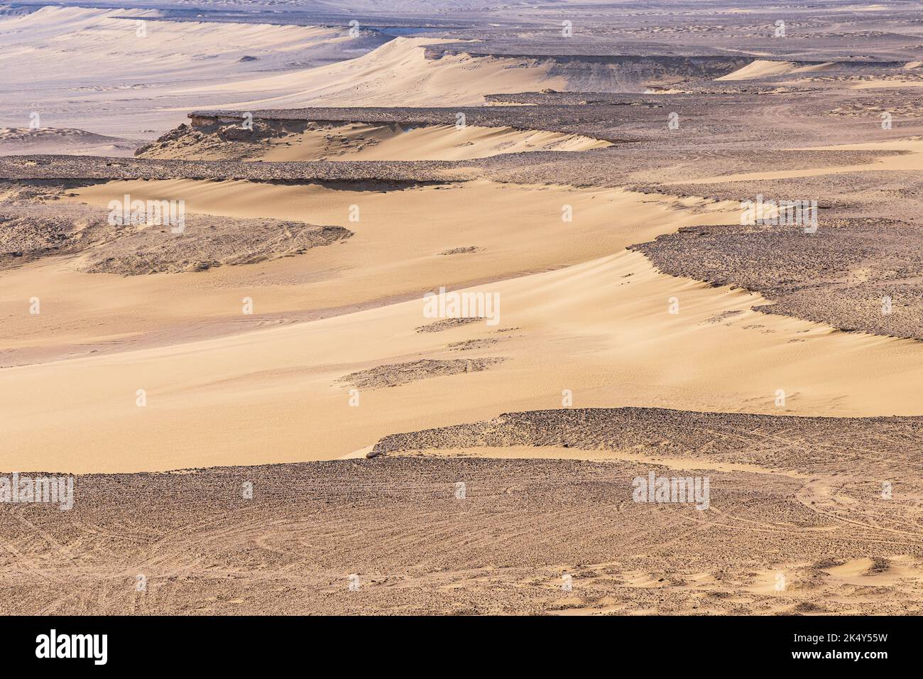 Wadi al Hitan, Faiyum, Ägypten. Sandwüste am paläontologischen Standort Wadi el-Hitan. Stockfoto