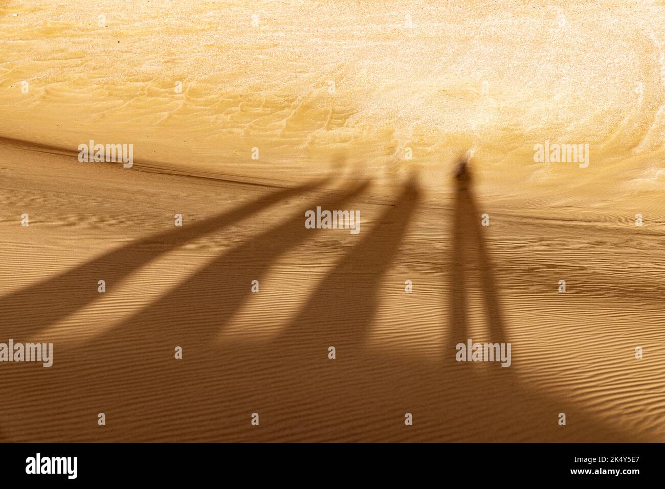 Wadi al Hitan, Faiyum, Ägypten. Schatten in der Wüste am paläontologischen Standort Wadi el-Hitan. Stockfoto