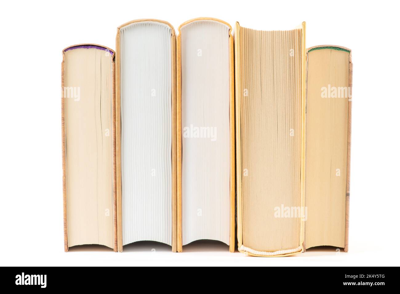 Buchreihe auf weißem Hintergrund, Buchblockseite, Lese- und Bildungskonzept Stockfoto