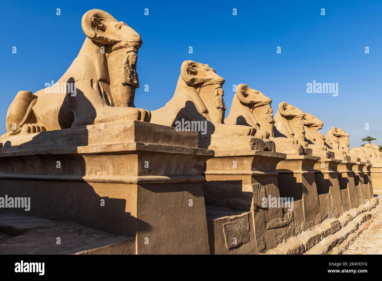 Karnak, Luxor, Ägypten. Avenue of the Rams Headed Sphinxes am Karnak Temple Complex in Luxor. Stockfoto