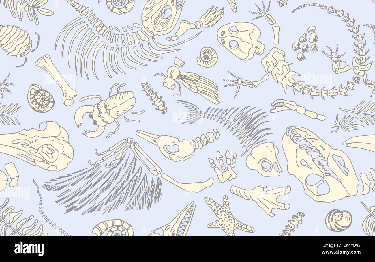 Isolierte Linienkontur gibt Skelette prähistorischer Tiere, Insekten und Pflanzen wieder. Nahtloses Muster realistische handgezeichnete Kunst. Vektor-Illustration Stock Vektor