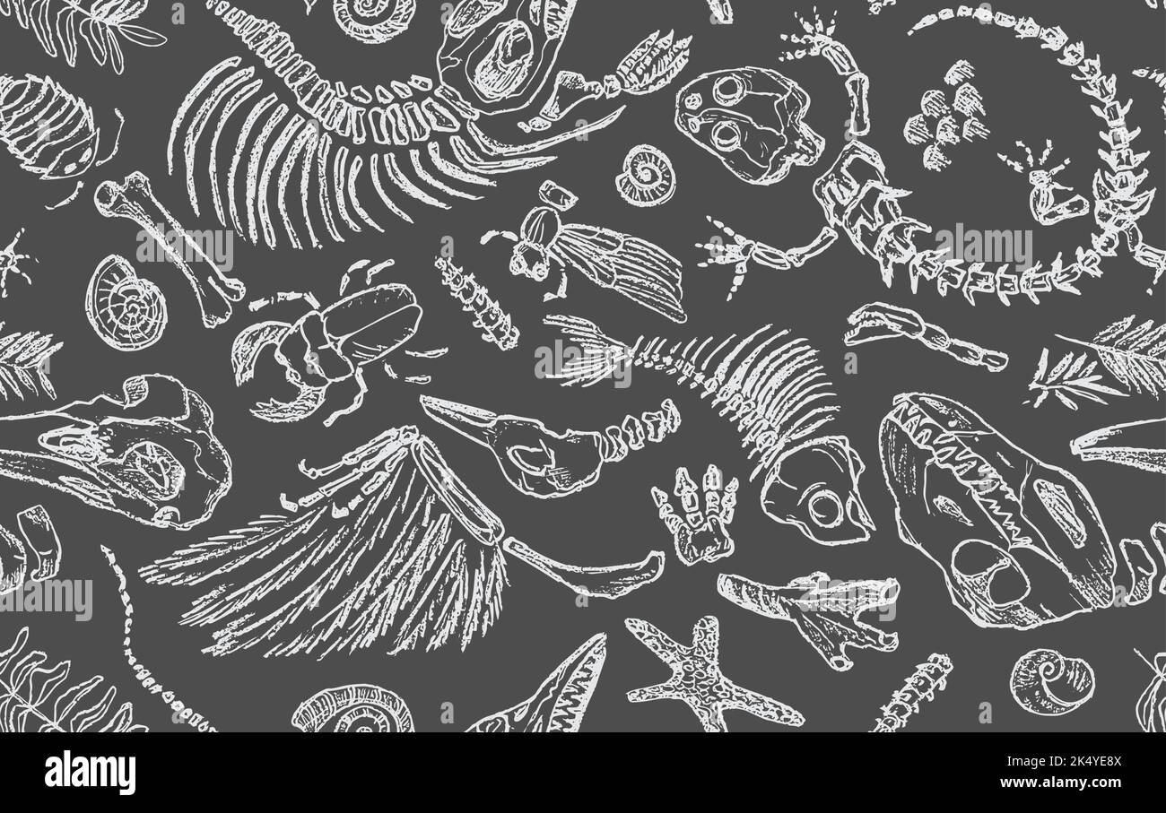 Isolierte weiße Kreide-Kontur gibt Skelette prähistorischer Tiere, Insekten und Pflanzen ab. Nahtloses Muster realistische handgezeichnete Kunst. Vektor Stock Vektor