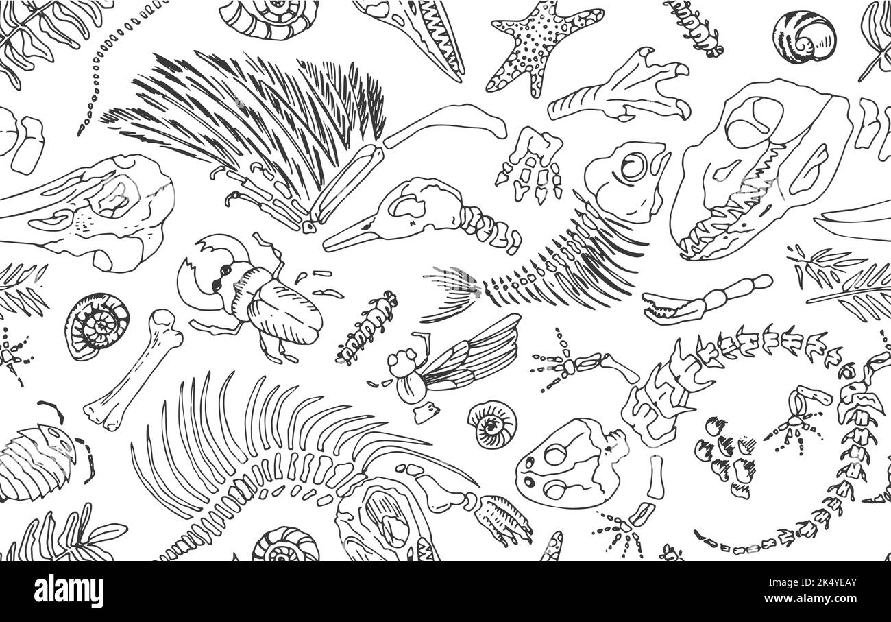 Isolierte schwarze Linie Kontur druckt Skelette von prähistorischen Tieren, Insekten und Pflanzen. Nahtloses Muster realistische handgezeichnete Kunst. Vektor Stock Vektor