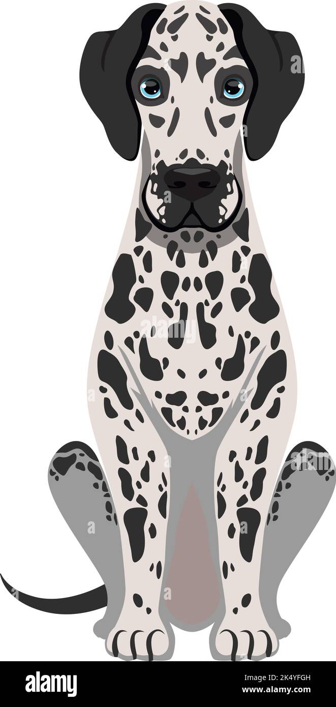 Dalmatinisches Symbol. Lustiger Hund sitzt. Haustier im Haushalt Stock Vektor