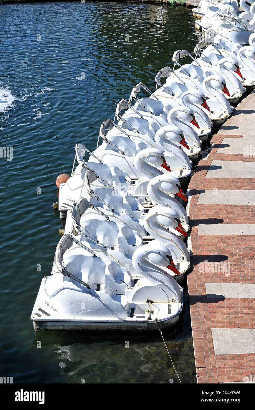 LONG BEACH, KALIFORNIEN - 3 Okt 2022: Swan Boats in Rainbow Lagoon im Hyatt Regency Hotel. Stockfoto