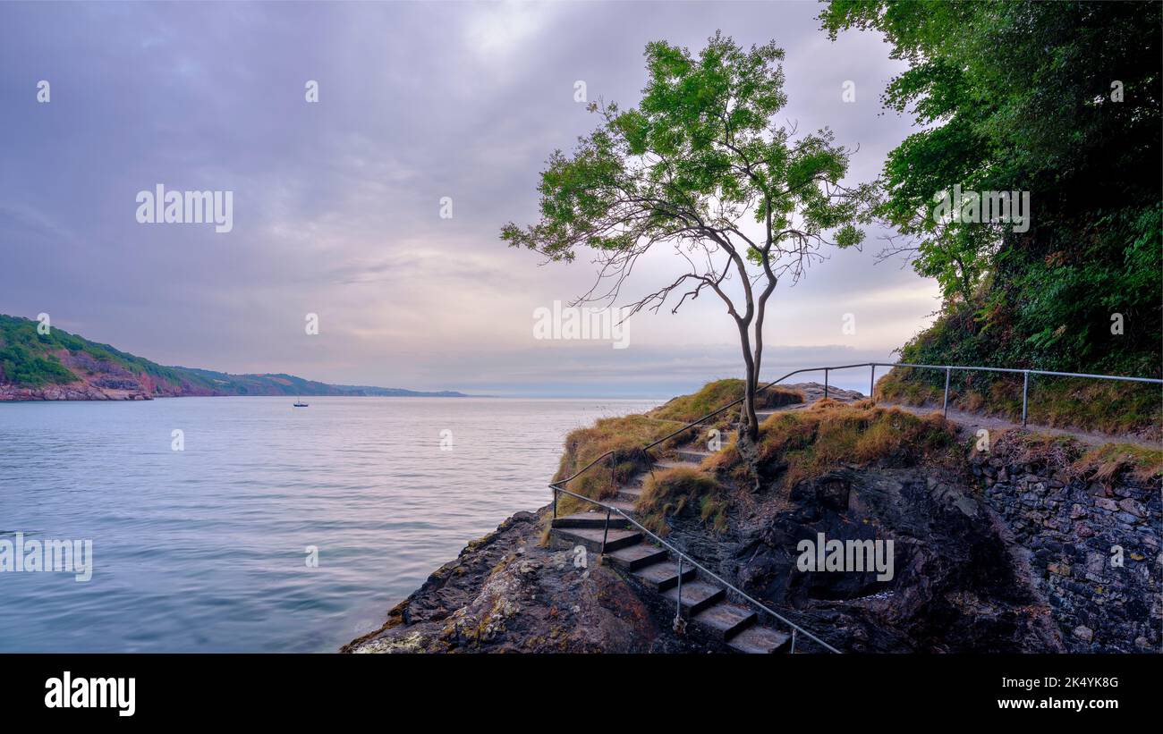 Torquay, Großbritannien - 28. Juli 2022: Sonnenaufgang am einbeinige Baum am Babbacombe Beach, in der Nähe von Torquay, Devon Stockfoto