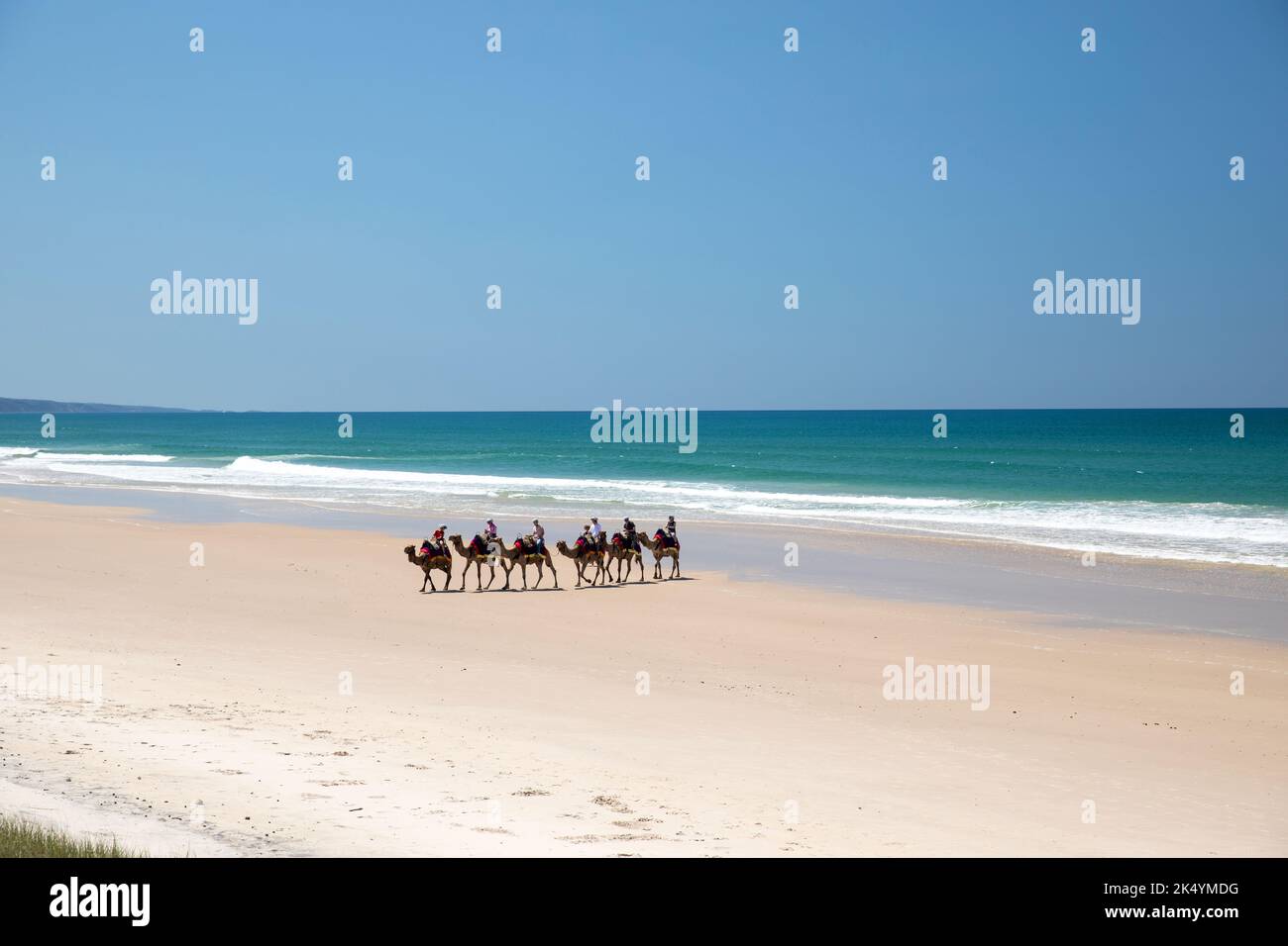 Noosa Region, Queensland, Australien Stockfoto