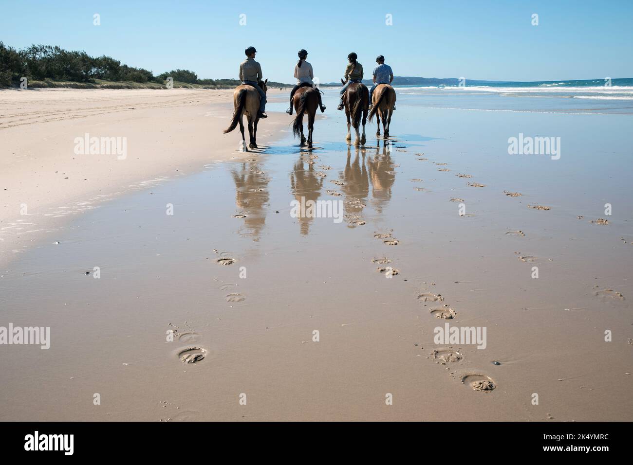 Noosa Region, Queensland, Australien Stockfoto