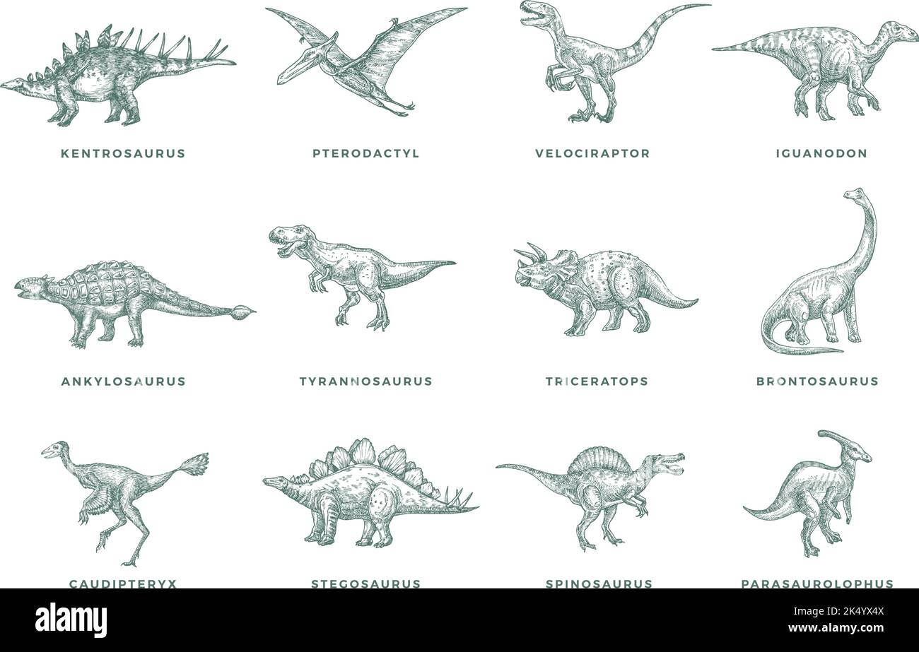 Prähistorische Dinosaurier Skizzen Zeichen, Symbole oder Illustrationen Set. Handgezeichnete Vektor Ancient Reptiles Silhouetten Kollektion mit T-rex, Raptor und Stock Vektor