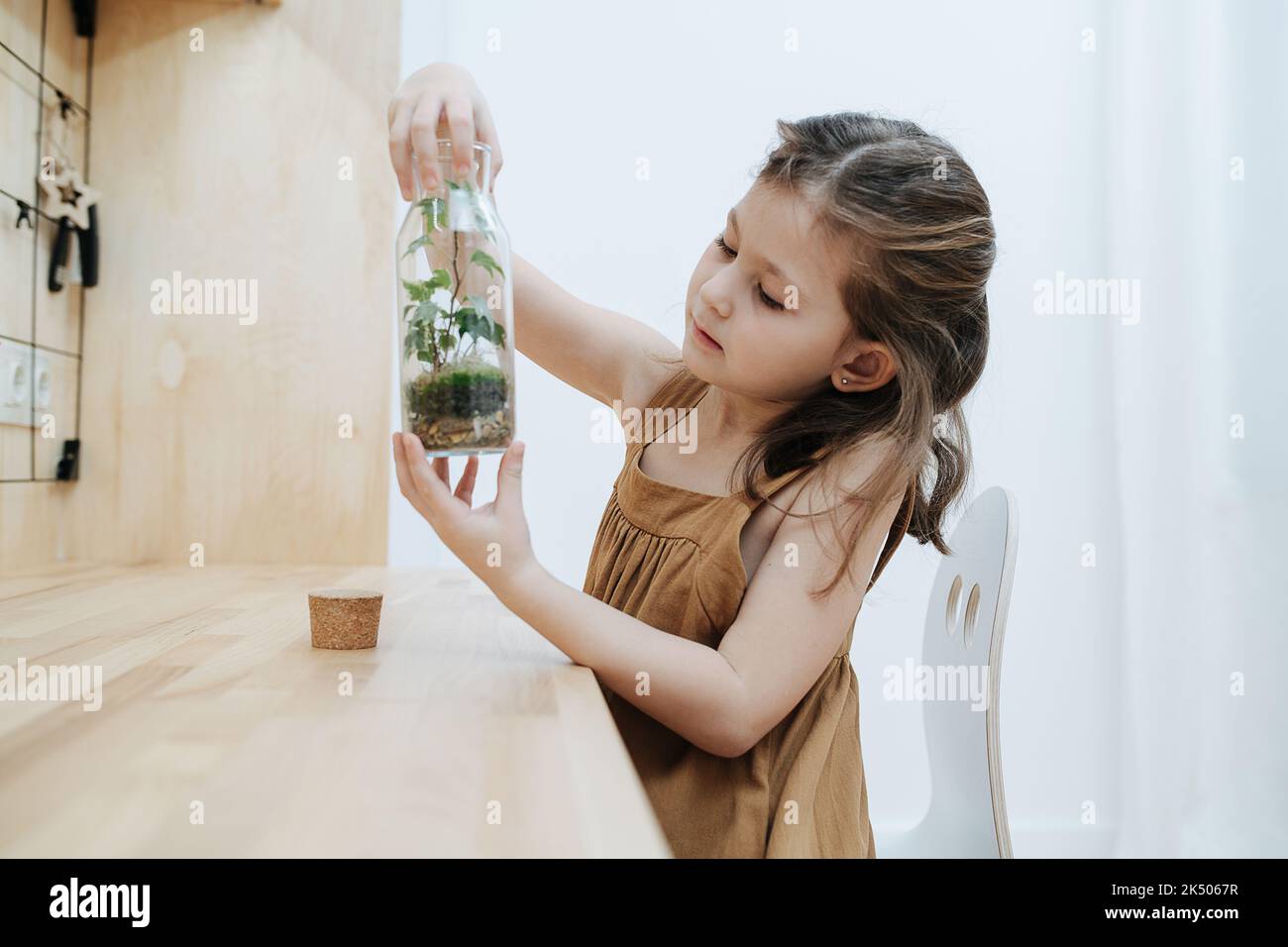 Neugieriges, fleißiges kleines Mädchen, das die Pflanze in einer ungekorkten Flasche untersucht. Am Schreibtisch sitzen. Stockfoto