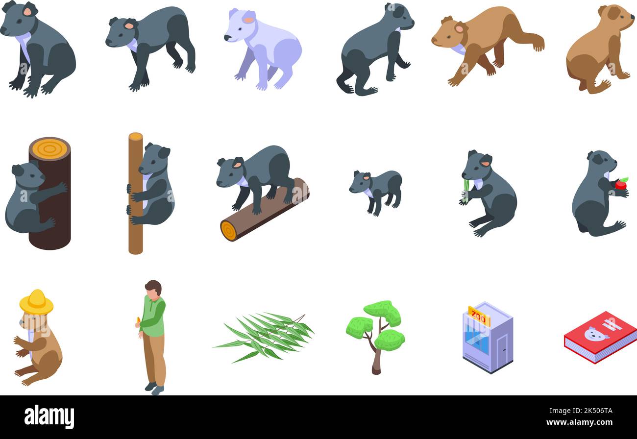Koala-Symbole setzen isometrischen Vektor. Australischer Bär. Tierfaul Stock Vektor