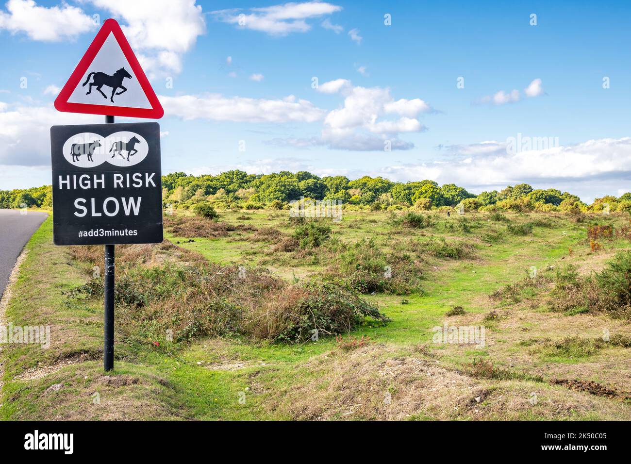 Ein Schild im New Forest National Park in Hampshire warnt vor Ponys und Rindern, die frei im Park herumlaufen. Stockfoto