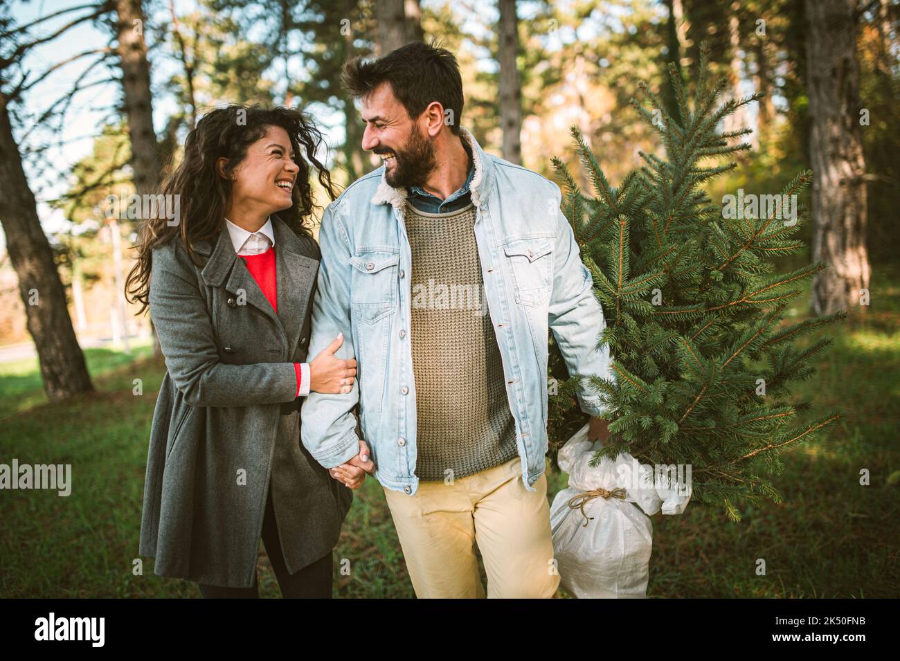 Glückliches Paar mit trägt einen Weihnachtsbaum Stockfoto