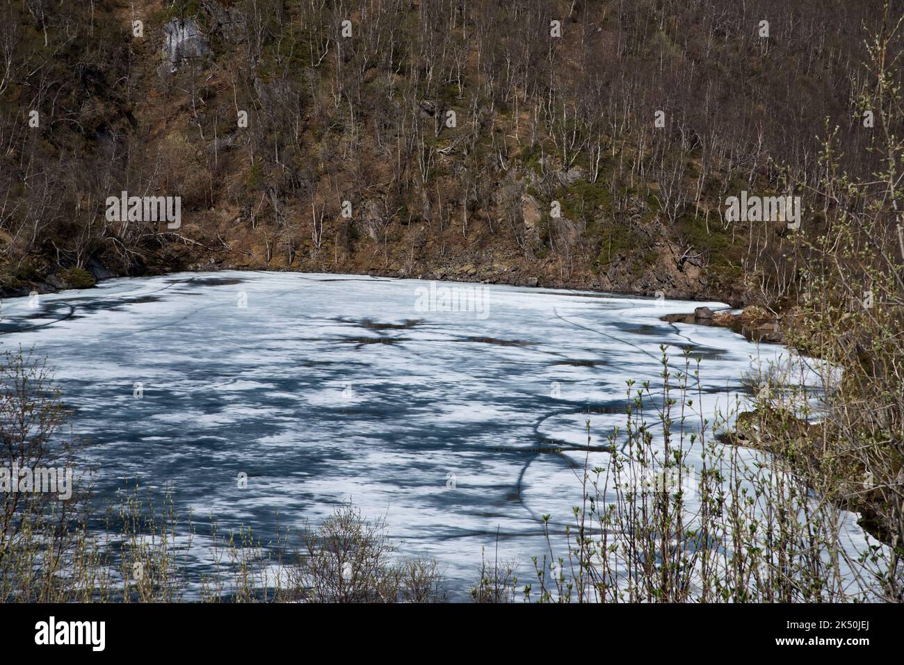 Gefrorener See in einem grünenden Birkenwald in einem felsigen Gebirge in der Gemeinde Sørfold in der norwegischen Provinz Nordland. Stockfoto