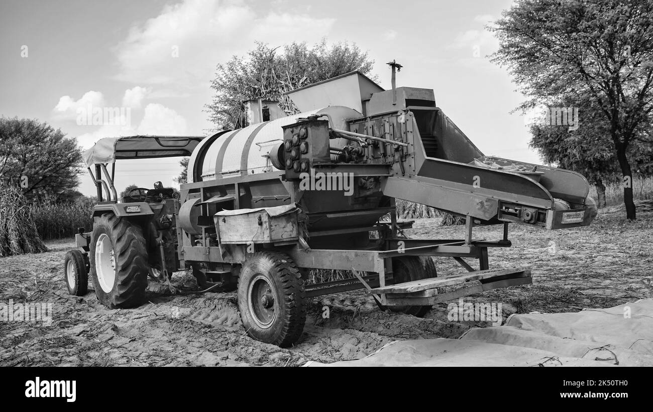 15. August 2022, Sikar, Indien. Fleißiger Landwirt, der auf einem Ackerland mit John-Traktor und Futterdreischer in einem Hirse- oder Pennisetum-glaucum-Feld arbeitet. Stockfoto
