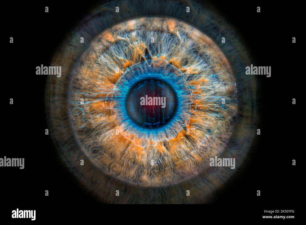 Makro- und Hightech-Konzept der menschlichen Iris, Scan-Prozess zur Erkennung des menschlichen Auges. Stockfoto