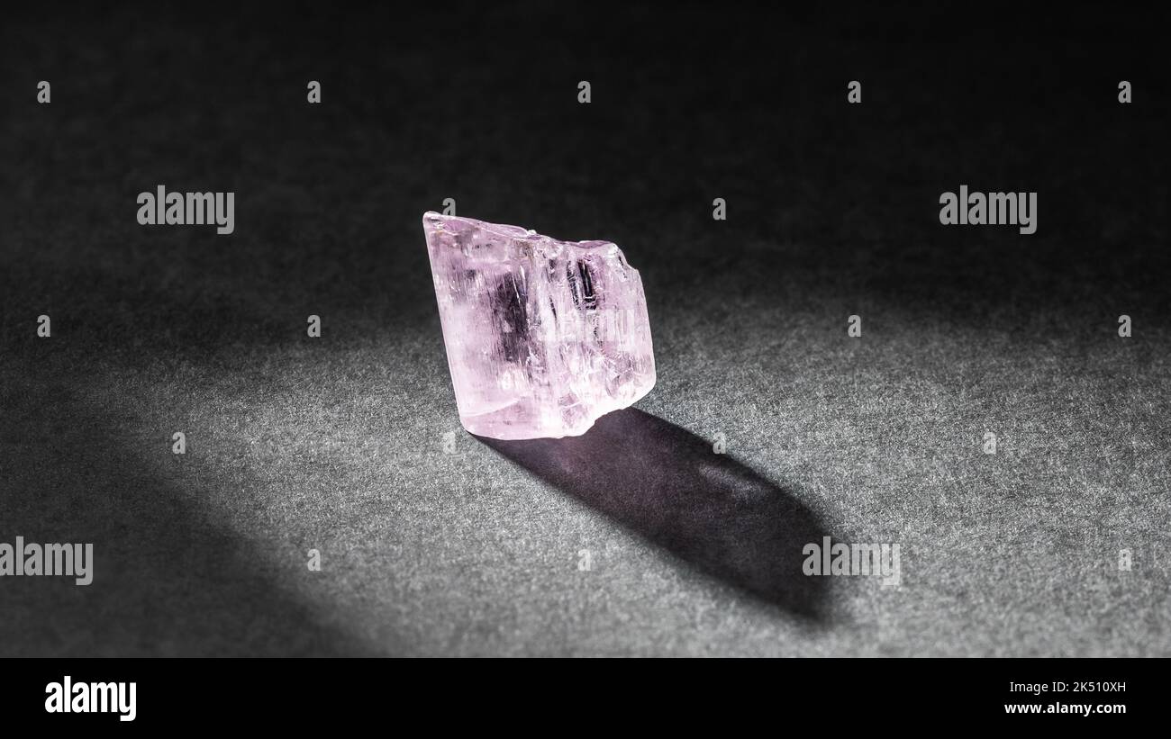 Durchscheinender rosafarbener Kunzit Kristall heilender Edelstein, hinterleuchtet auf dunklem Hintergrund. Natürliches Spodumen-Mineral Stockfoto