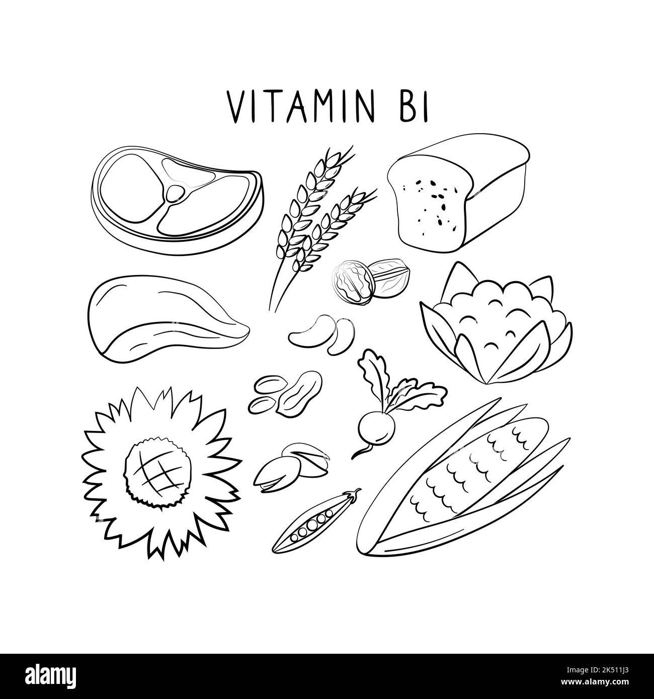 Vitamin B1 Thiamin . Gruppen von gesunden Lebensmitteln, die Vitamine enthalten. Set aus Obst, Gemüse, Fleisch, Fisch und Milchprodukten Stock Vektor