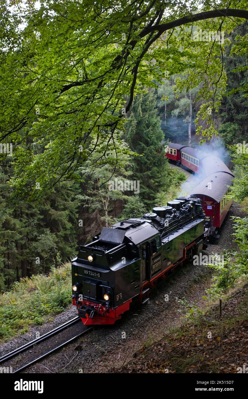 Dampfzüge auf der Harzer Bergbahn, Niedersachsen, Deutschland Stockfoto