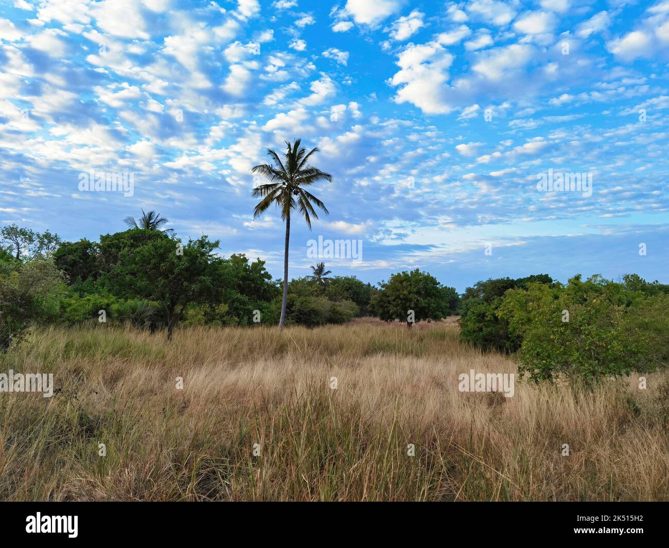 Eine Landschaft in einer Küstenregion in Tansania Stockfoto