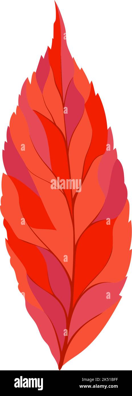 Herbstblatt mit Eschenholz. Blattfall. Vektorgrafik. Stock Vektor