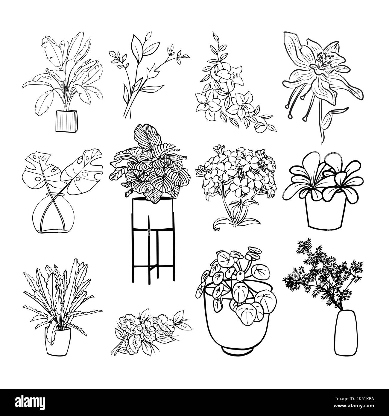 Florale Grafikelemente im großen Vektor-Set. Blumen und Pflanzen handgezeichnete Illustrationen Stock Vektor