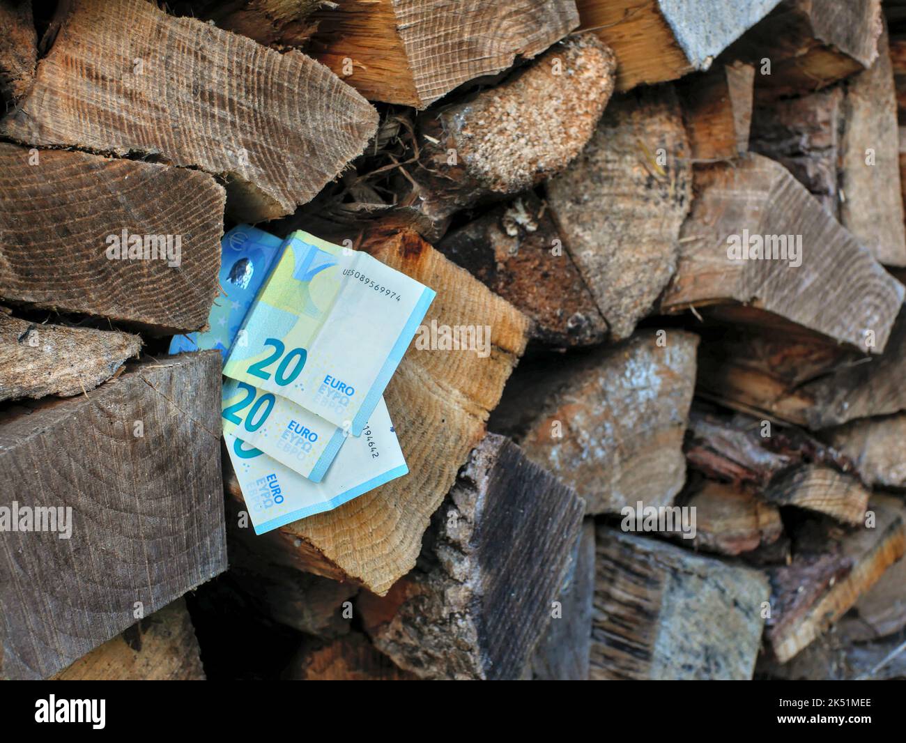 Euro-Scheine in einen Stapel von Holzstämmen eingefügt. Konzept der Preiserhöhung für Brennholz. Stockfoto