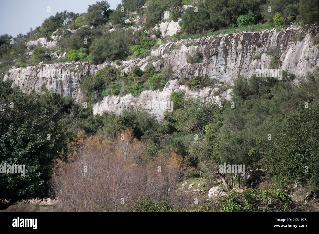 Große Schlucht von Rosolini, Rosolini, Provinz Siracusa (Syrakus), Sizilien, Italien Stockfoto