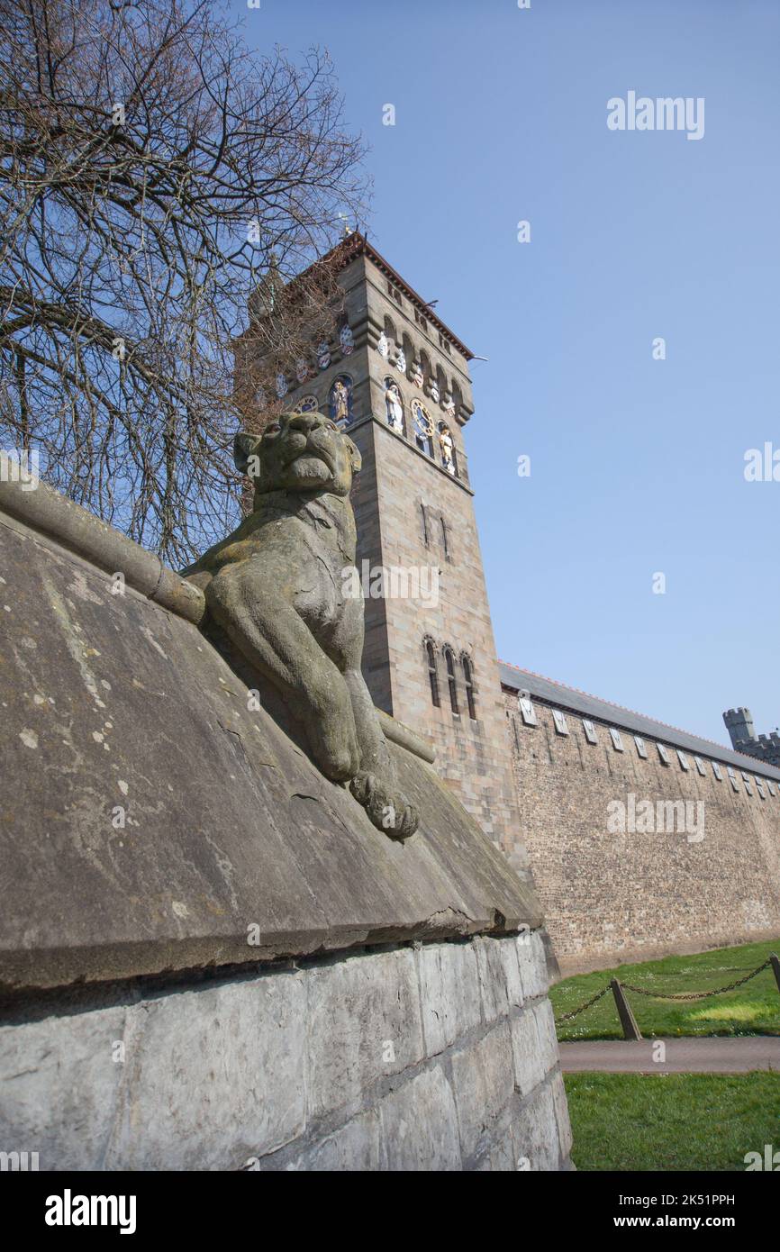 Ein Löwe an der Tiermauer in der Castle Street in Cardiff, Wales in Großbritannien Stockfoto