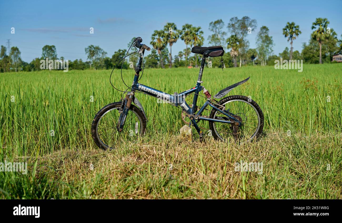 Ein Mountainbike in einer wunderschönen grünen Landschaft. Stockfoto