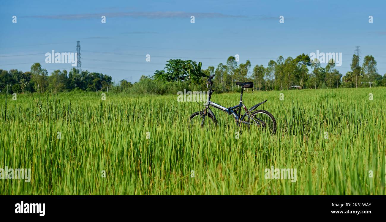 Ein Mountainbike in einer wunderschönen grünen Landschaft. Stockfoto