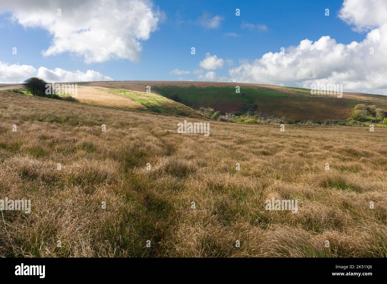 Die Ketten an der Grenze zu Devon und Somerset im Exmoor-Nationalpark, England. Stockfoto