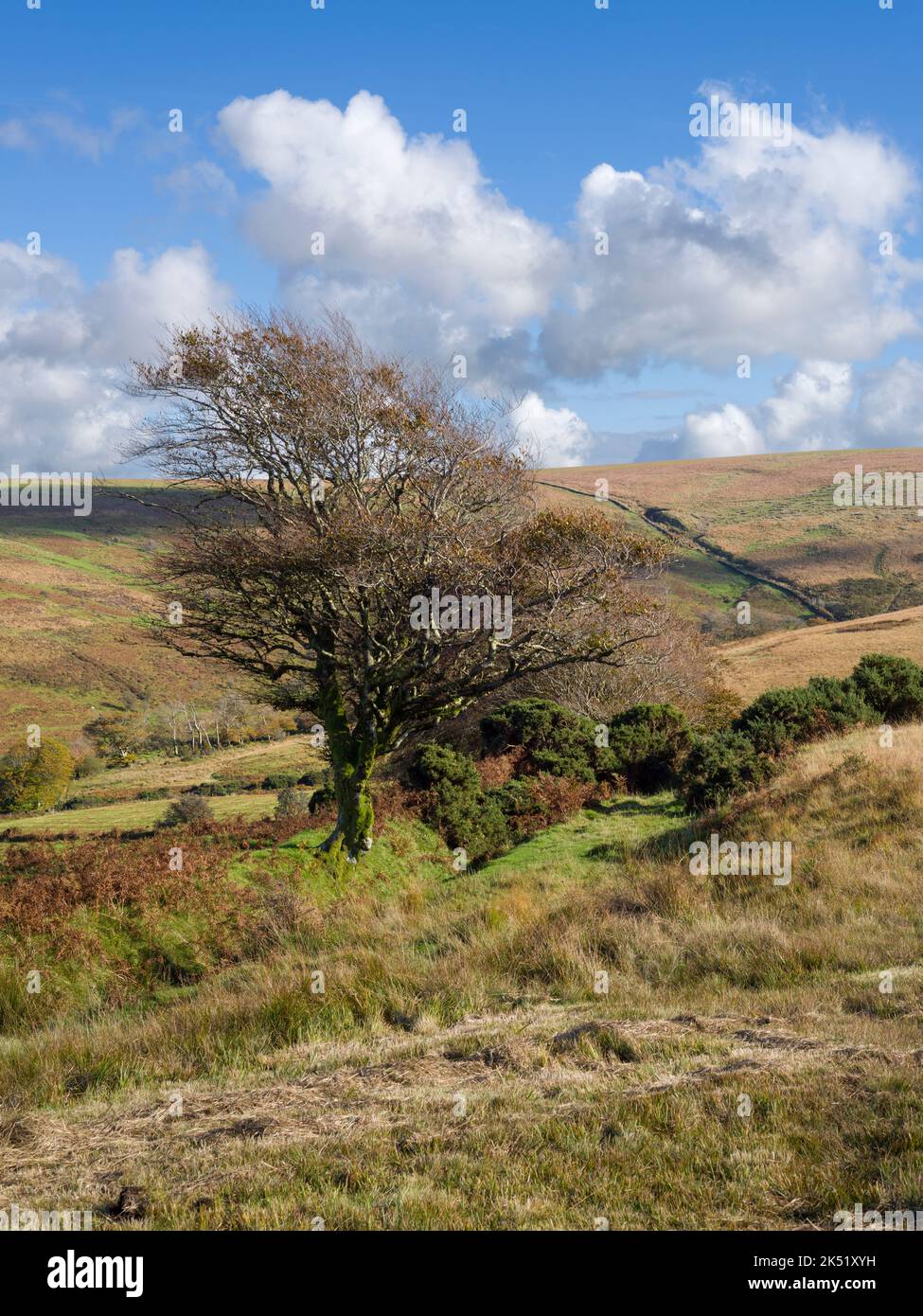 Das Hoaroak Water Valley auf der Nordseite der Chains am Devon und Somerset Grenze mit exe Plain Beyond im Exmoor National Park, England. Stockfoto