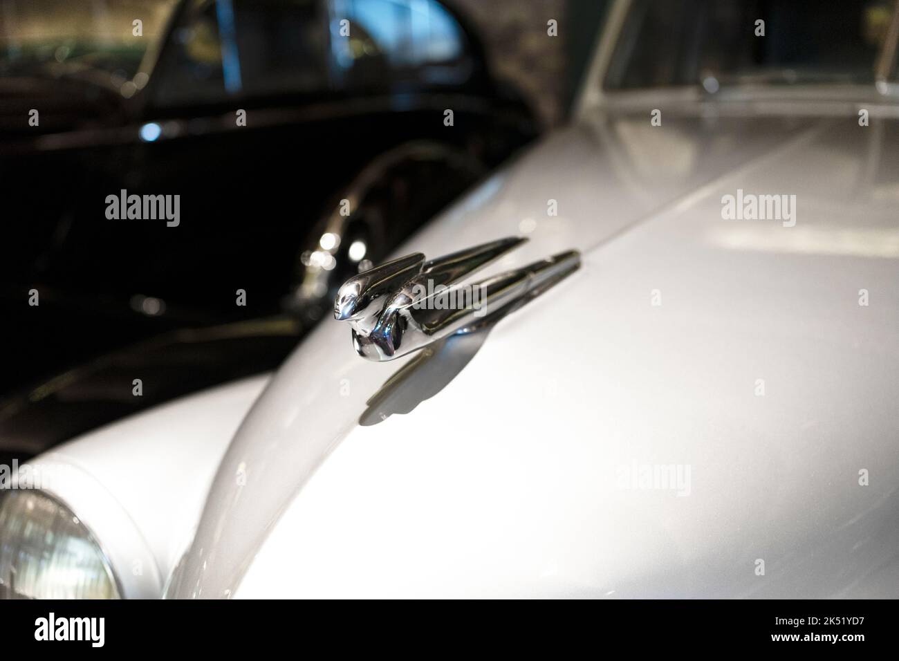 Nahaufnahme eines 1939 Cadillac fliegenden Dame Haube Ornaments. Stockfoto