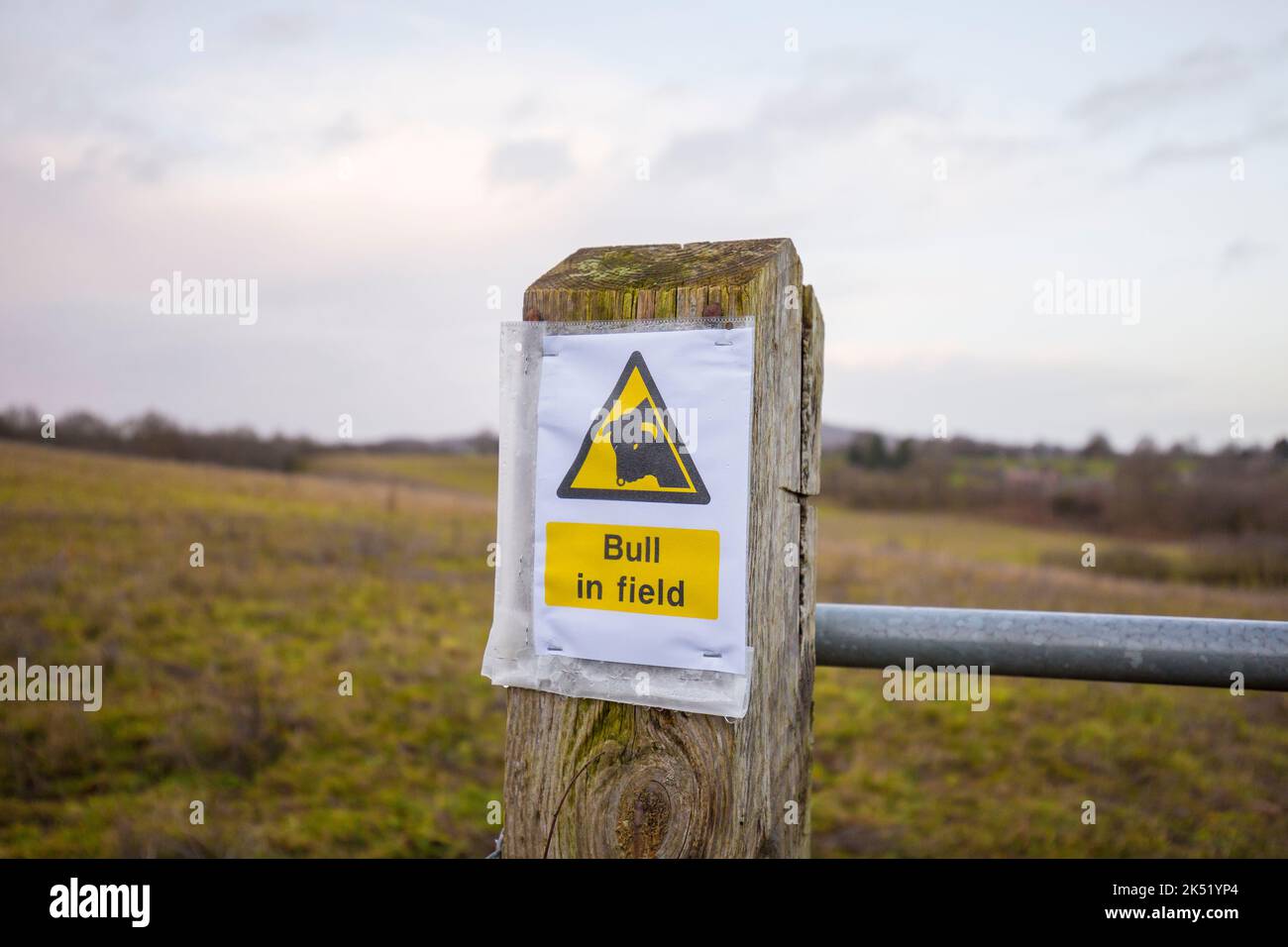 Nahaufnahme eines isolierten öffentlichen Hinweises, um zu wissen, dass es einen „Bullen im Feld“ gibt. Sicherheitshinweise für den ländlichen Raum in Großbritannien. Stockfoto