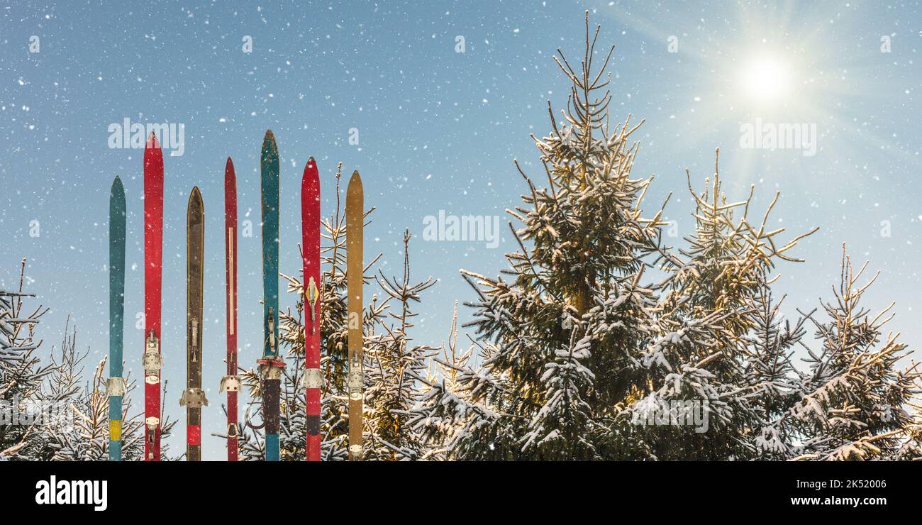 Reihe von verwitterten Holzskiern vor schneebedeckten Tannenbäumen mit strahlender Sonne und Schneefall Stockfoto