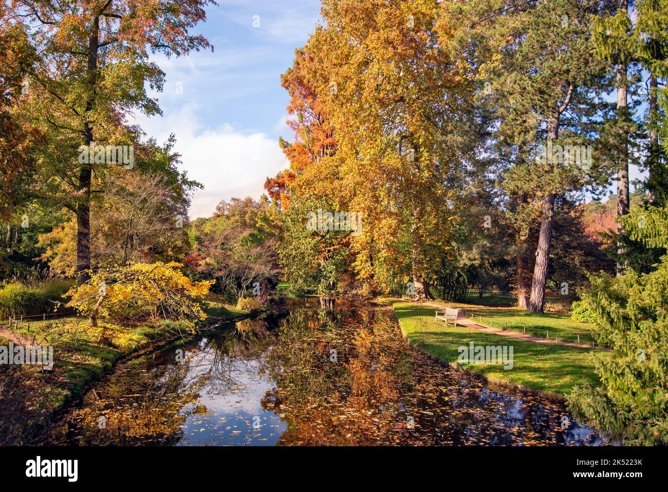 Herbstlaub und Wasserspiegelungen in einem Teich im Arboretum Vallee aux Loups in der Nähe von Paris, Frankreich. Stockfoto
