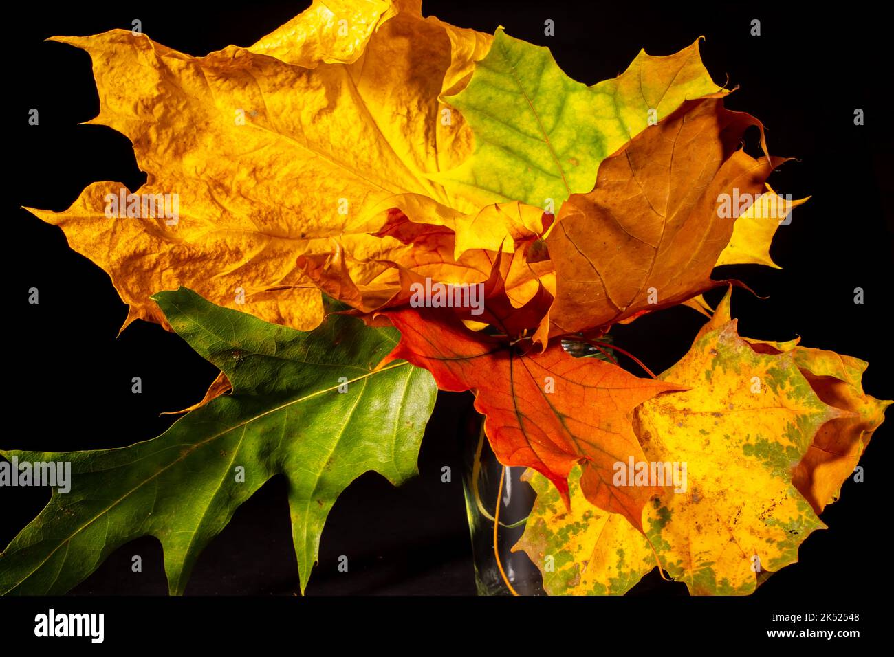 Lizenzpflichtig Stockfoto