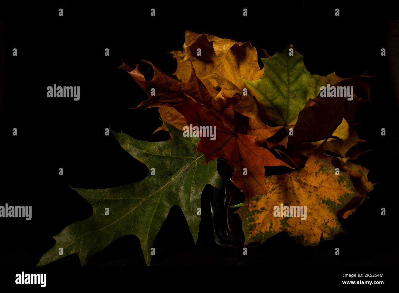 Lizenzpflichtig Stockfoto