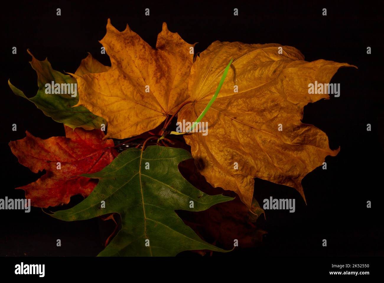 Lizenzpflichtig Stockfoto