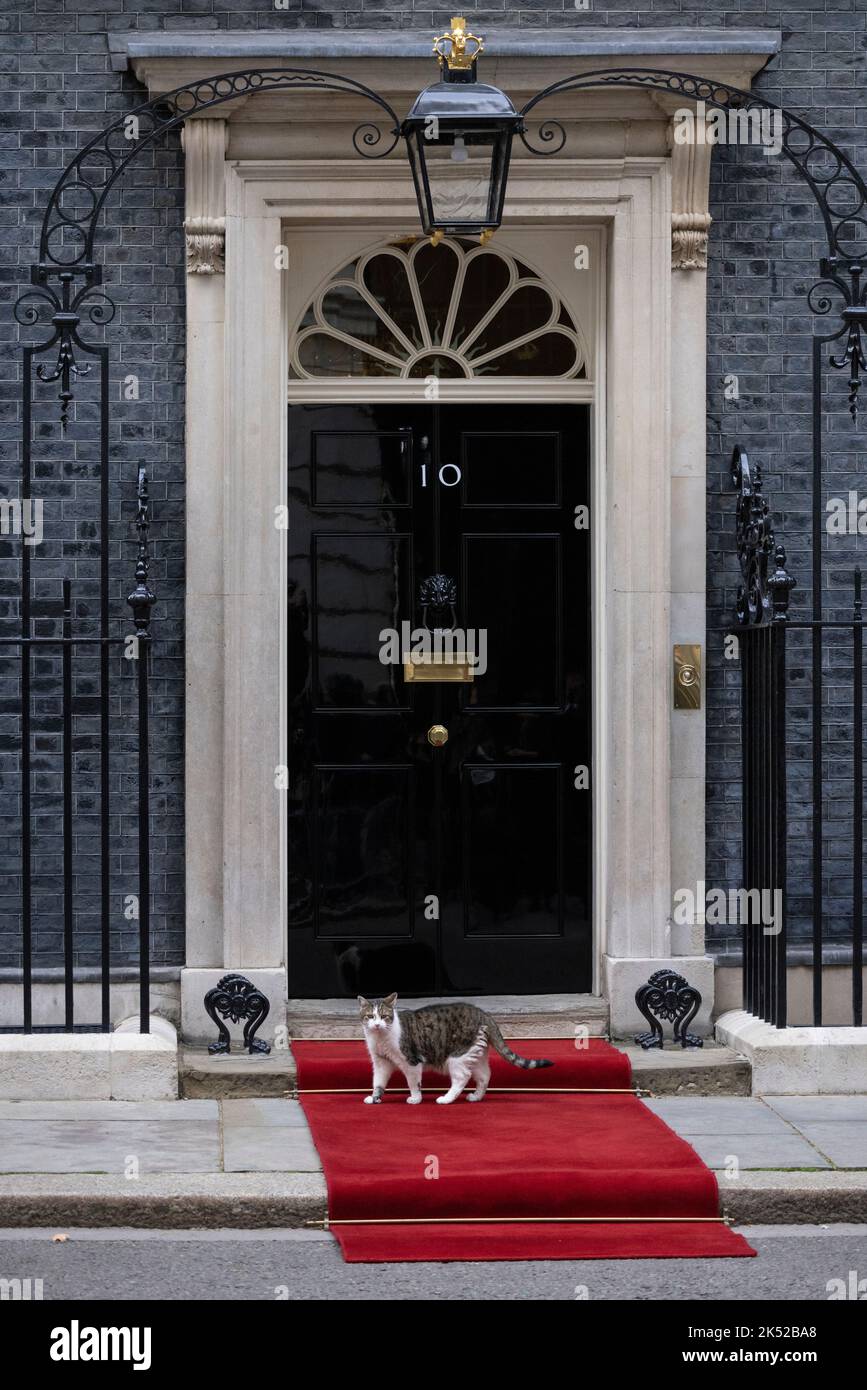 Vor einem Staatsbesuch in Whitehall, London, England, Großbritannien, wird vor dem Haupteingang der Downing Street Nr. 10 ein roter Teppich verlegt Stockfoto