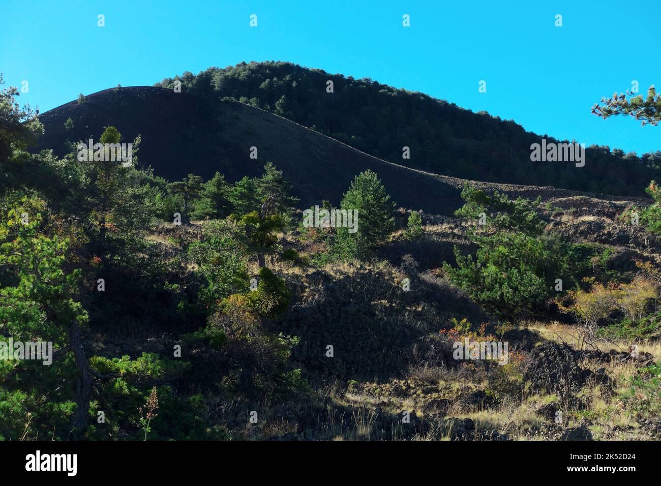 Vulkan der seitlichen Eruption und Lavafeld mit Sträuchern und Bäumen im Ätna Nationalpark von Sizilien, Italien Stockfoto