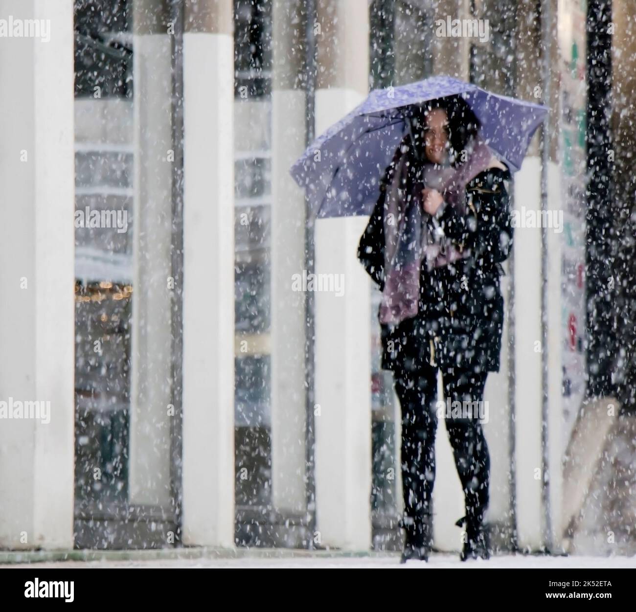 Belgrad, Serbien - 15. Dezember 2018: Eine junge Frau unter purpurem Schirm geht an einem verschneiten Tag auf der Stadtstraße Stockfoto