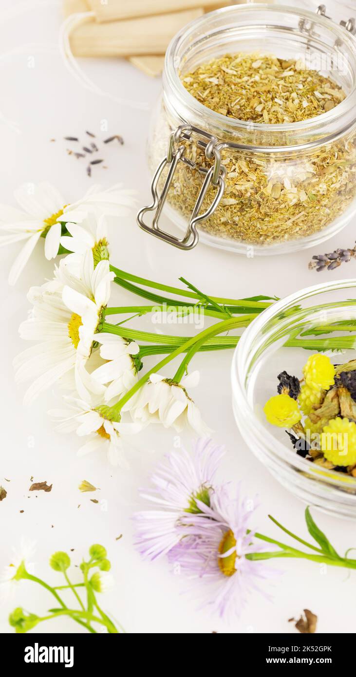 Wilde Blumen und das Sammeln von getrockneten Kräutern für hausgemachten Tee Stockfoto