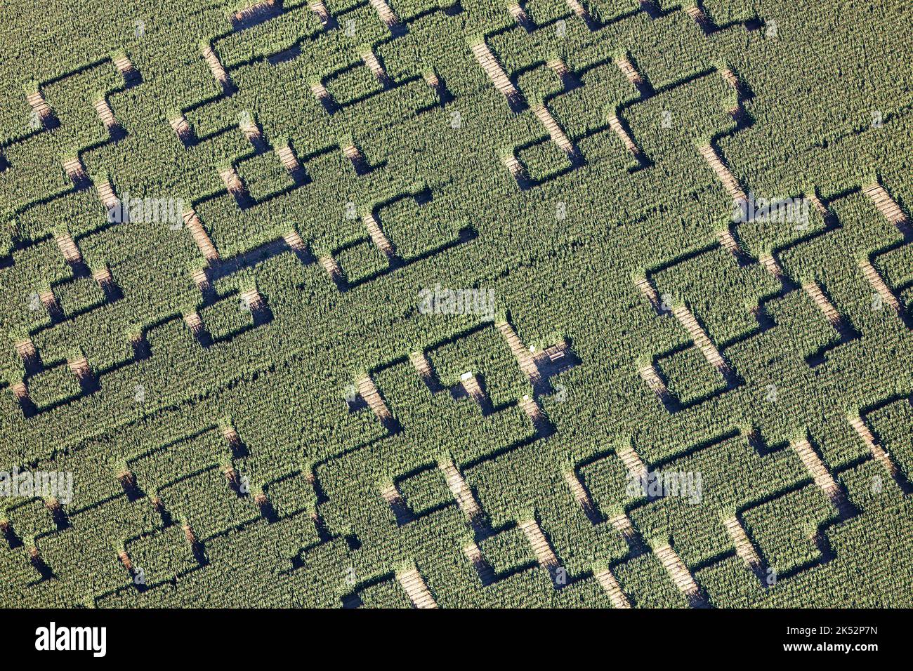 Frankreich, Charente Maritime, Thailire, Maislabyrinth (Luftaufnahme) Stockfoto